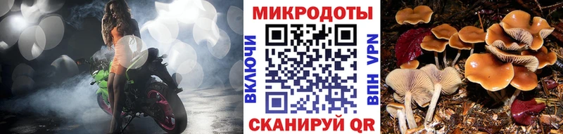 Галлюциногенные грибы мухоморы  продажа наркотиков  Стерлитамак 