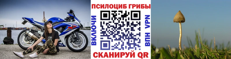 Псилоцибиновые грибы MAGIC MUSHROOMS Стерлитамак