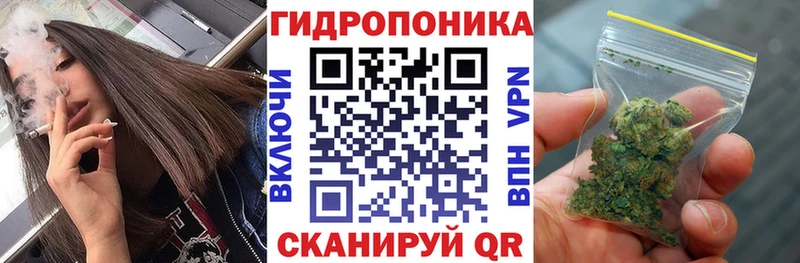 цена   Стерлитамак  Шишки марихуана Ganja 